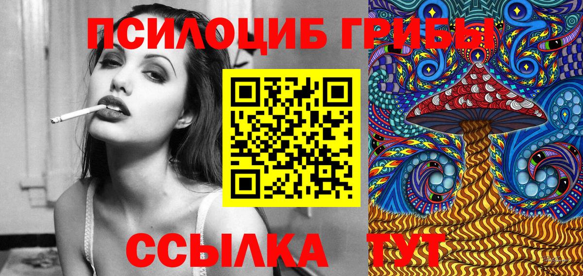 Псилоцибиновые грибы мицелий Москва