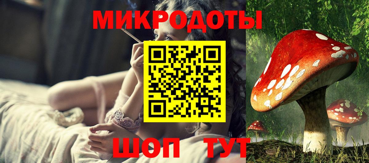 Москва  Псилоцибиновые грибы Cubensis  Вход с VPN 